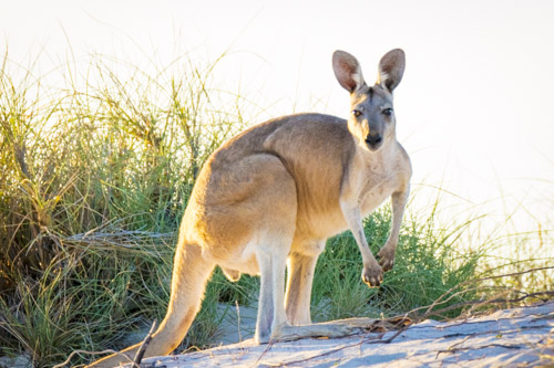 karijini ningaloo photo tour example 20